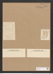 Cymbella cymbiformis (Kuetz). Breb. (de-Toni-Nr.: Genus 33, Species 1438) Zeichnungen Sammlung Grunow Nr. 2743 (NHMW-BOT-W0370010)